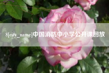 宁国中国消防中小学公开课回放