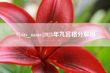 宁国2021年九宫格分解图