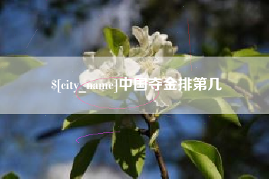 宁国中国夺金排第几