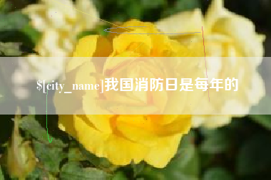 宁国我国消防日是每年的