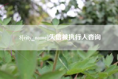 宁国失信被执行人杳询