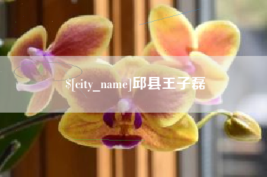 宁国邱县王子磊