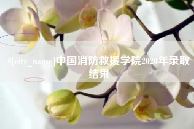 宁国中国消防救援学院2020年录取结果
