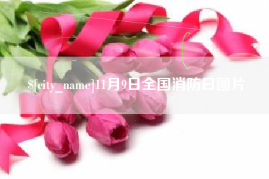 宁国11月9日全国消防日图片