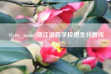 宁国浙江消防学校招生分数线