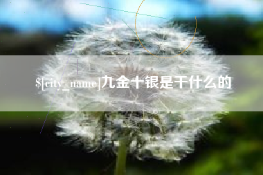 宁国九金十银是干什么的