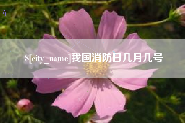 宁国我国消防日几月几号