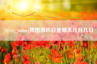 宁国我国消防日是哪天几月几日