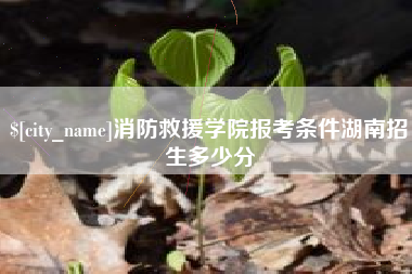 宁国消防救援学院报考条件湖南招生多少分