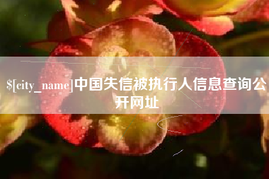 宁国中国失信被执行人信息查询公开网址