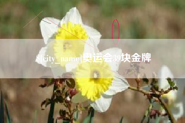 宁国奥运会39块金牌