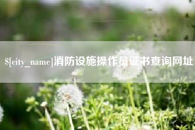 宁国消防设施操作员证书查询网址