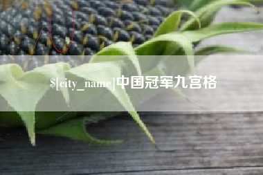 宁国中国冠军九宫格