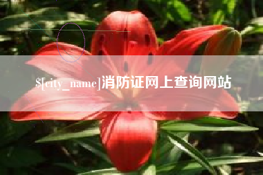 宁国消防证网上查询网站