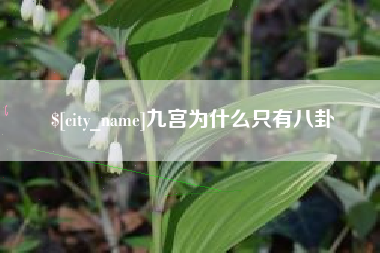 宁国九宫为什么只有八卦
