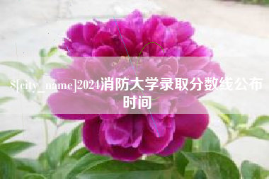 宁国2024消防大学录取分数线公布时间