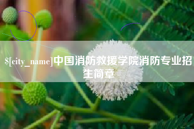 宁国中国消防救援学院消防专业招生简章