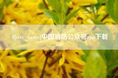 宁国中国消防公众号app下载