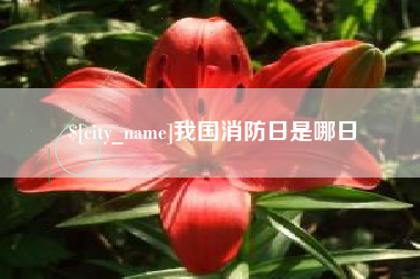 宁国我国消防日是哪日