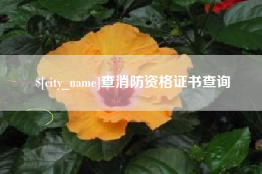 宁国查消防资格证书查询