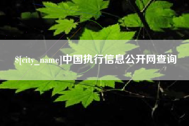 宁国中国执行信息公开网查询
