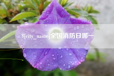 宁国全国消防日哪一