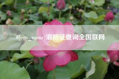 宁国消防证查询全国联网