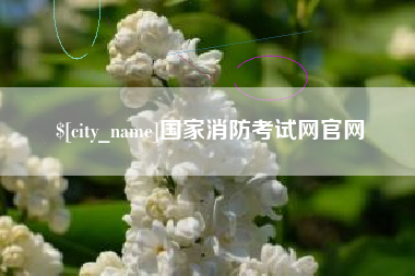 宁国国家消防考试网官网