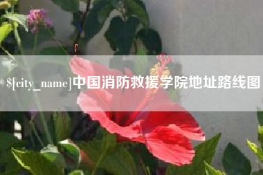 宁国中国消防救援学院地址路线图