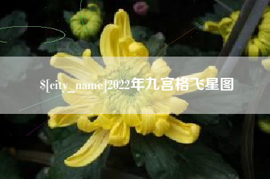 宁国2022年九宫格飞星图
