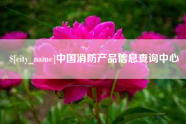 宁国中国消防产品信息查询中心