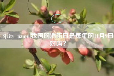 宁国我国的消防日是每年的11月9日对吗？