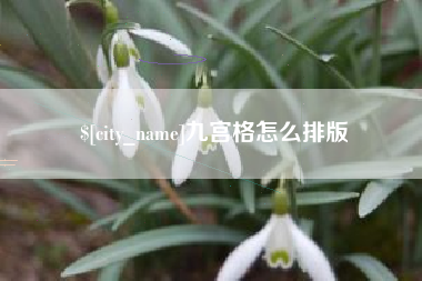宁国九宫格怎么排版