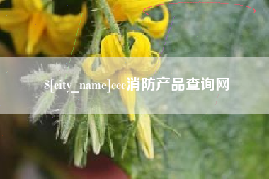宁国ccc消防产品查询网
