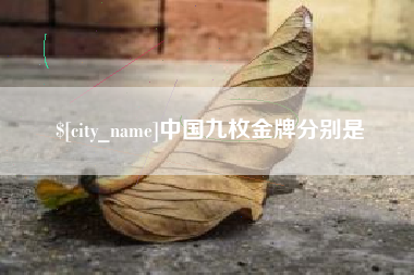 宁国中国九枚金牌分别是