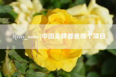 宁国中国金牌都是哪个项目