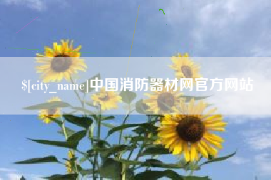 宁国中国消防器材网官方网站