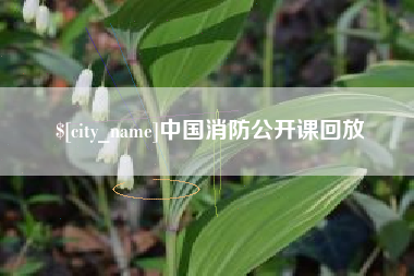 宁国中国消防公开课回放