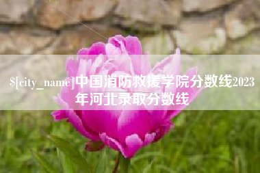 宁国中国消防救援学院分数线2023年河北录取分数线