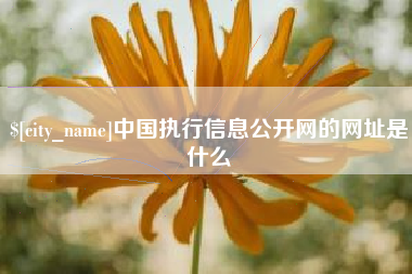 宁国中国执行信息公开网的网址是什么