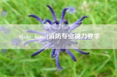 宁国消防专业视力要求
