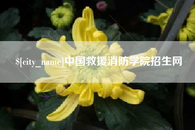 宁国中国救援消防学院招生网
