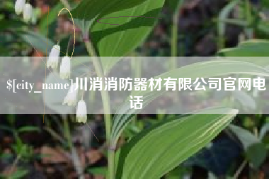 宁国川消消防器材有限公司官网电话