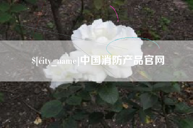 宁国中国消防产品官网