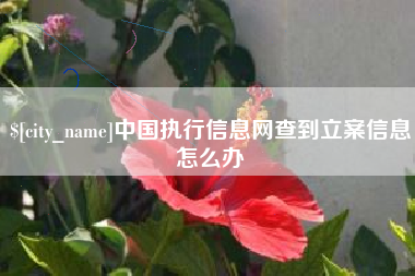 宁国中国执行信息网查到立案信息怎么办