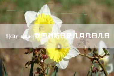 宁国我国消防日是几月几日几日