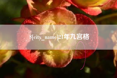 宁国21年九宫格