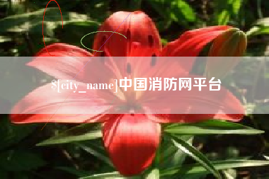宁国中国消防网平台
