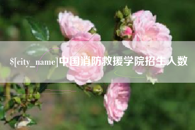 宁国中国消防救援学院招生人数