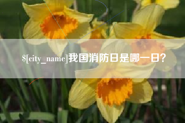 宁国我国消防日是哪一日？